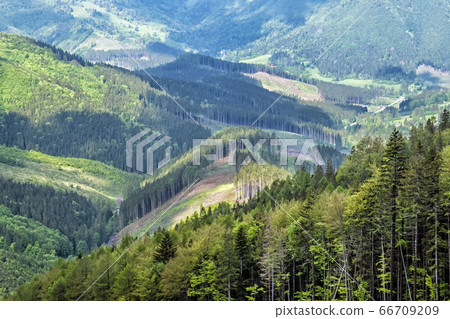 Timber logging in Little Fatra, Slovakia Timber logging in Little Fatra, Slovakia 66709209