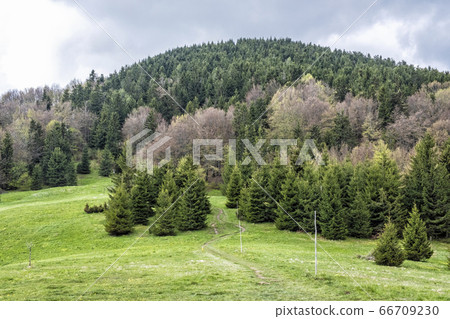 Footpath to Stoh hill, Little Fatra, Slovakia, Footpath to Stoh hill, Little Fatra, Slovakia, 66709230