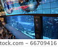 迪拜水族館 66709416