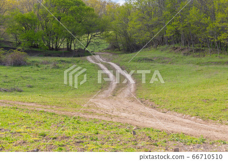 winding land road leads to the forest a walk on a winding land road leads to the forest a walk on a 66710510