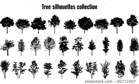 Trees silhouette collection. Set of 29 trees. Vector 66711007