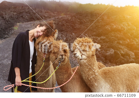Young woman hugs her llama friends in the mountains Young woman hugs her llama friends in the mountains 66711109