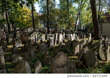 Old Weathered Tombstones On Jewish Cemetery In Prague In The Czech Republic Old Weathered Tombstones On Jewish Cemetery In Prague In The Czech Republic 66711444