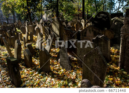 Old Weathered Tombstones On Jewish Cemetery In Prague In The Czech Republic Old Weathered Tombstones On Jewish Cemetery In Prague In The Czech Republic 66711448