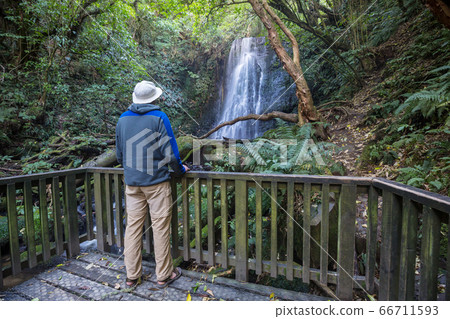 New Zealand waterfall 66711593