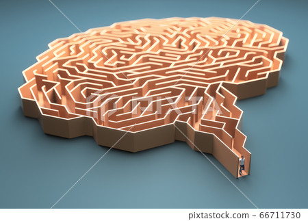Brain Maze Science And Medical Research 66711730