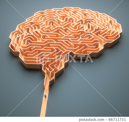 Brain Maze Science And Medical Research 66711731