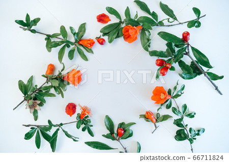 flower arrangement in a circle. of red and orange flowers on a white background. Flatly, the concept of summer or spring, text frame flower arrangement in a circle. of red and orange flowers on a white background. Flatly, the concept of summer or spring, text frame 66711824