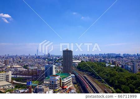 東京晴空塔從北望台的視圖 東京晴空塔從北望台的視圖 66711999