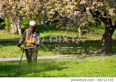 professional garden service at work. lawn care professional garden service at work. lawn care 66712138