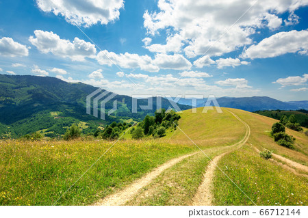 path through the meadow in mountains. sunny summer path through the meadow in mountains. sunny summer 66712144