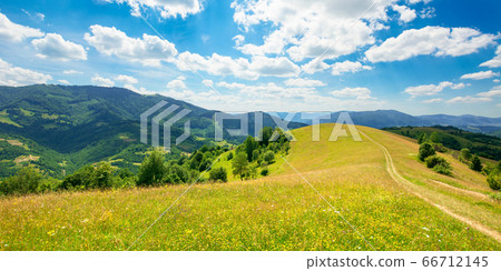 path through the meadow in mountains. sunny summer path through the meadow in mountains. sunny summer 66712145