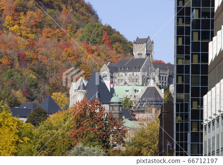 Mc Gill University in autumn, Montreal, Quebec, Canada 66712197