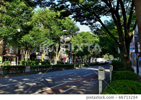 東京原宿表參道的風景 東京原宿表參道的風景 66713284