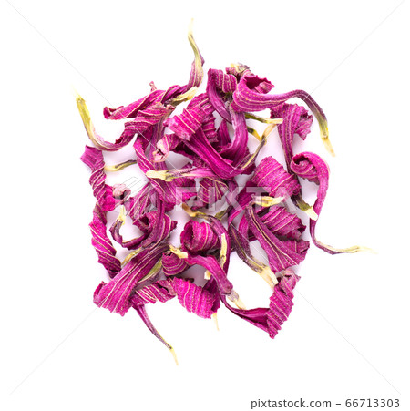 Dried Echinacea flowers, isolated on white 66713303