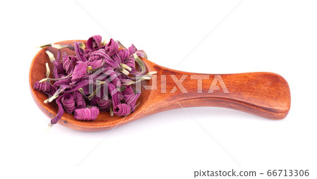 Dried Echinacea flowers on wooden spoon, isolated 66713306
