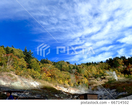 An autumnal dandruff hot spring with a bath 66714502