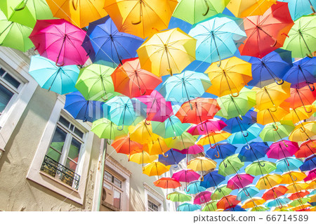 Ageda Umbrella Festival Ageda Umbrella Festival 66714589