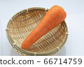 蔬菜胡蘿蔔 蔬菜胡蘿蔔 66714759