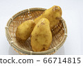 蔬菜土豆 蔬菜土豆 66714815