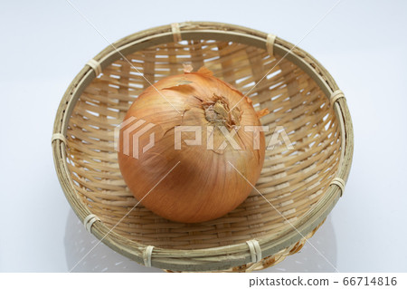 蔬菜洋蔥 蔬菜洋蔥 66714816