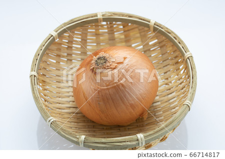 蔬菜洋蔥 蔬菜洋蔥 66714817
