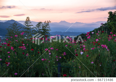 Mountains in the morning glow Minakami Town, a view from the walnut castle ruins Mountains in the morning glow Minakami Town, a view from the walnut castle ruins 66715486