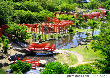 Okutsugaru高山稻荷神社千本鳥居初夏 66715646