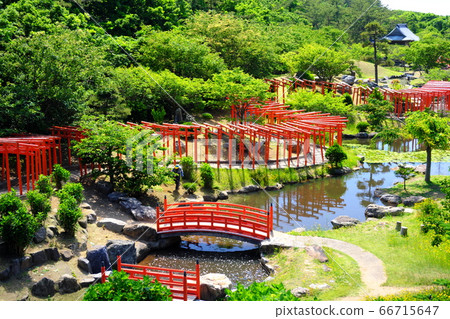Okutsugaru Takayama Inari Shrine Senbon Torii Early Summer 66715647