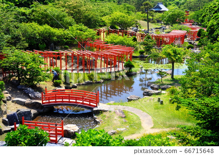 Okutsugaru Takayama Inari Shrine Senbon Torii Early Summer 66715648