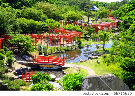 Okutsugaru Takayama Inari Shrine Senbon Torii Early Summer 66715650