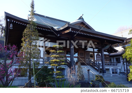 Kanemura Kanemura 66715719