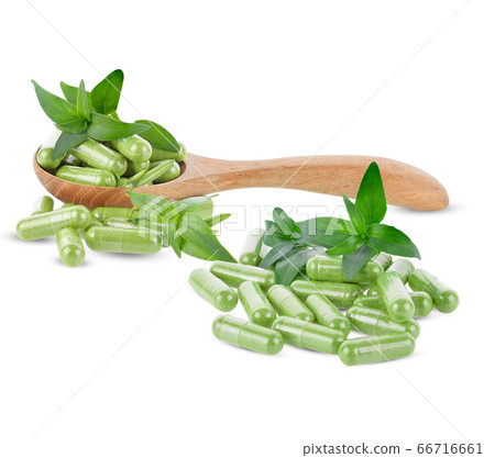 Andrographis paniculata capsule on white 66716661