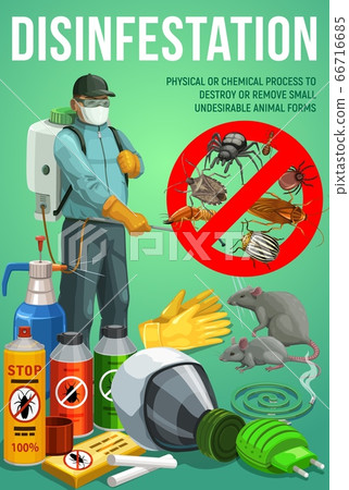 Disinfestation service, pest control, deratization 66716685