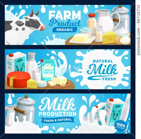 Dairy milk product banners, farm food cheese Dairy milk product banners, farm food cheese 66716732