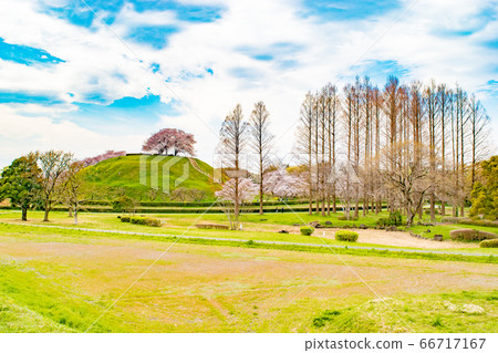 在春天的天空下的Pokkori墓塚 66717167