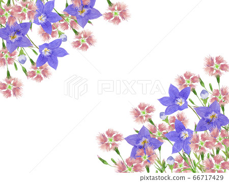 Nadesico和風鈴草框架 66717429