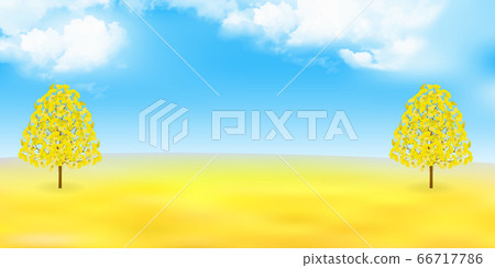 Autumn leaves ginkgo autumn background Autumn leaves ginkgo autumn background 66717786