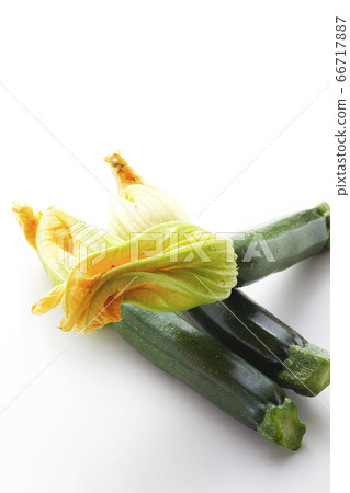Flower zucchini 23 Flower zucchini 23 66717887