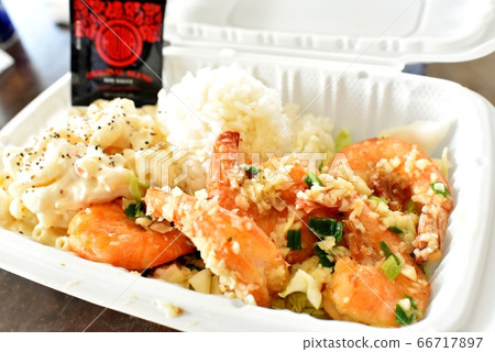 Holidays in Hawaii 66717897