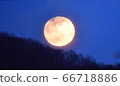 月 66718886