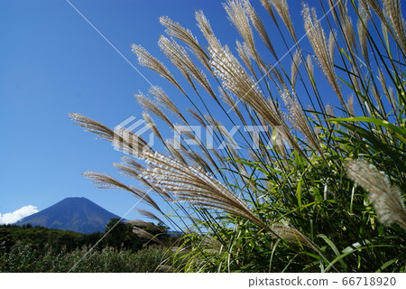 富士山 66718920
