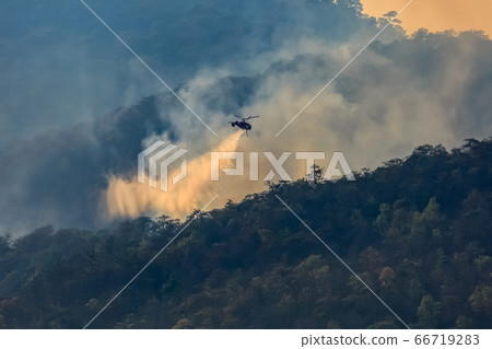 Firefighting helicopter dropping water on forest 66719283