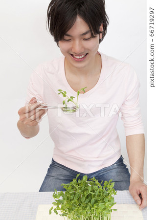 Herbivorous boys Herbivorous boys 66719297