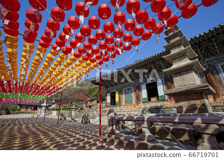 Gochang Changsun Gochang Changsun 66719701