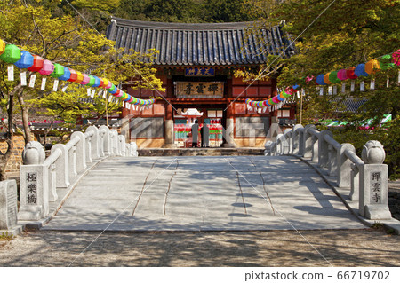 Gochang Changsun 66719702