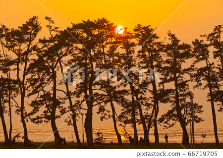 Dongho Beach Dongho Beach 66719705