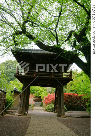 1316川越中央 1316川越中央 66719718