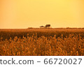 Suncheon Bay Glow 66720027