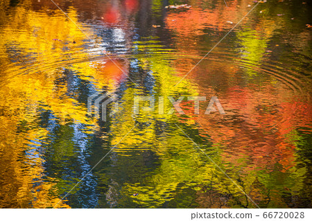 Autumn reflection Autumn reflection 66720028